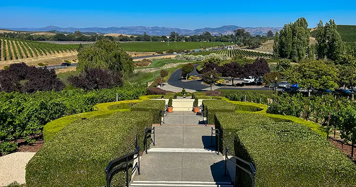 Domaine Carneros