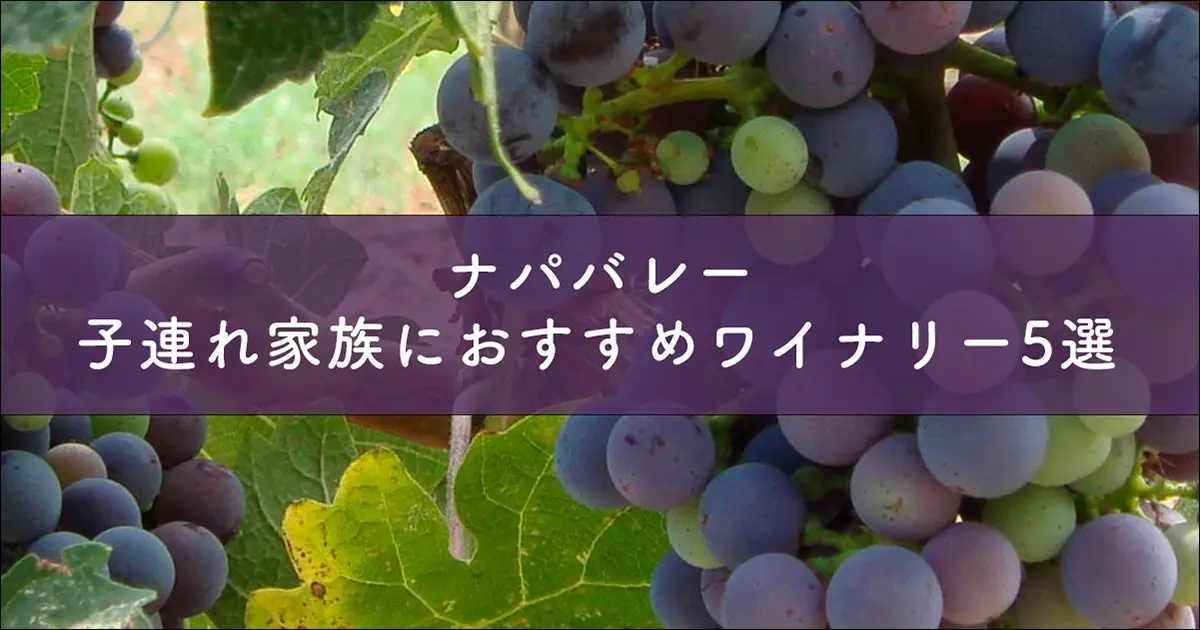 ナパバレー　子連れ家族におすすめワイナリー5選