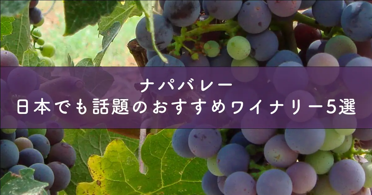 ナパバレー　日本でも話題のおすすめワイナリー5選